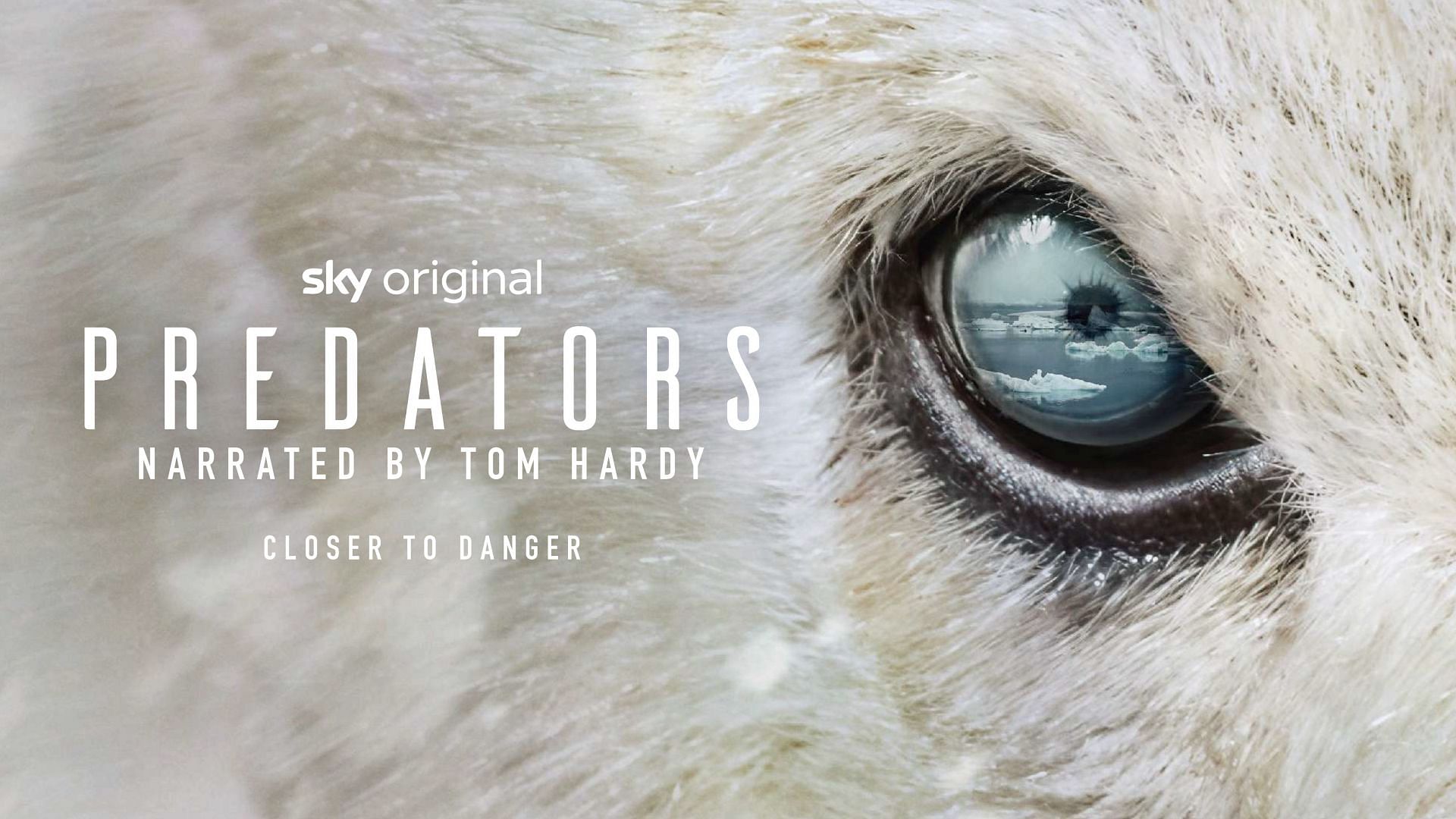 A poster of the Netflix documentary, which was initially released on Sky (image via IMDB)